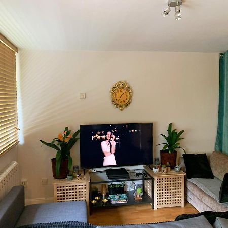 Garden Beautiful Cozy Flat , Recent Decorated. Apartment London Bagian luar foto