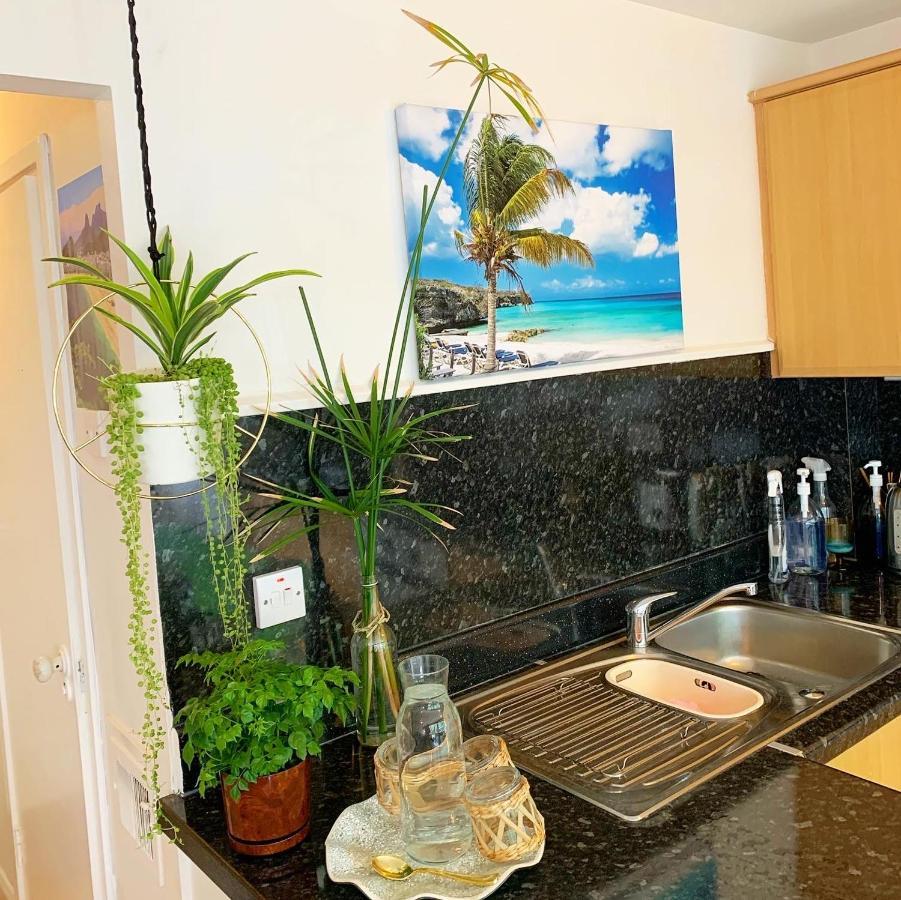 Garden Beautiful Cozy Flat , Recent Decorated. Apartment London Bagian luar foto
