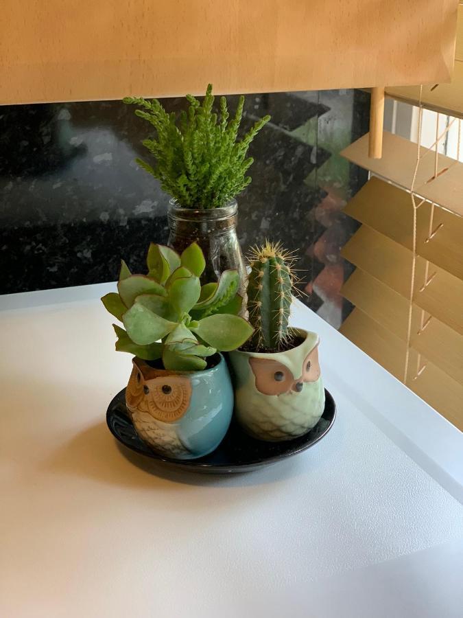 Garden Beautiful Cozy Flat , Recent Decorated. Apartment London Bagian luar foto