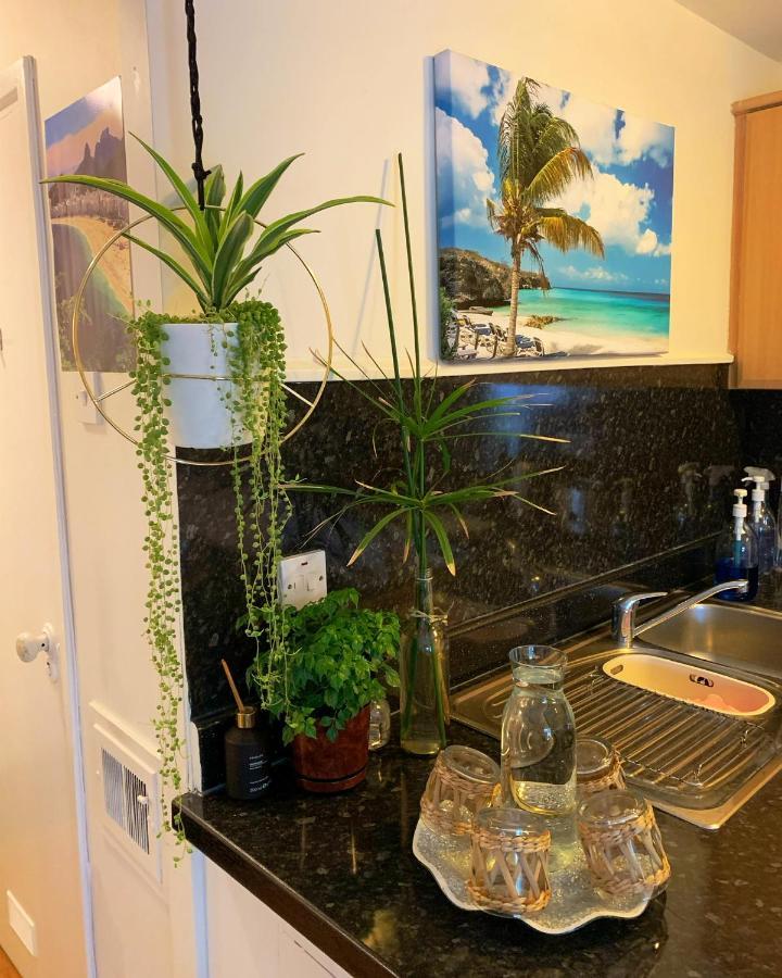 Garden Beautiful Cozy Flat , Recent Decorated. Apartment London Bagian luar foto